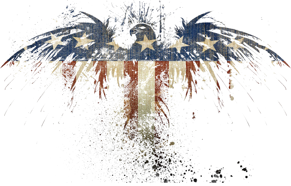 drawing-illustration-branch-insect-flag-American-flag-164036-wallhere.com drawing-illustration-branch-insect-flag-American-flag-164036-wallhere.com